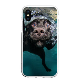 Чехол для iPhone XS Max матовый с принтом Пес дайвер в Тюмени, Силикон | Область печати: задняя сторона чехла, без боковых панелей | вода | гребет | дайвер | животное | купается | лапы | нос | пес | плавец | плывет | под водой | прикольный | пузыри | смешной | собака | щенок
