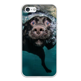 Чехол для iPhone 5/5S матовый с принтом Пес дайвер в Тюмени, Силикон | Область печати: задняя сторона чехла, без боковых панелей | вода | гребет | дайвер | животное | купается | лапы | нос | пес | плавец | плывет | под водой | прикольный | пузыри | смешной | собака | щенок