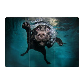 Магнитный плакат 3Х2 с принтом Пес дайвер в Тюмени, Полимерный материал с магнитным слоем | 6 деталей размером 9*9 см | вода | гребет | дайвер | животное | купается | лапы | нос | пес | плавец | плывет | под водой | прикольный | пузыри | смешной | собака | щенок