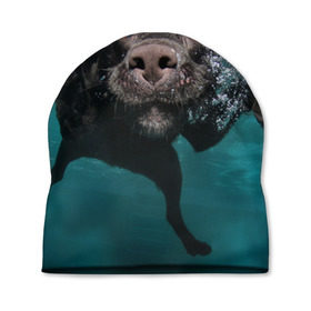 Шапка 3D с принтом Пес дайвер в Тюмени, 100% полиэстер | универсальный размер, печать по всей поверхности изделия | вода | гребет | дайвер | животное | купается | лапы | нос | пес | плавец | плывет | под водой | прикольный | пузыри | смешной | собака | щенок