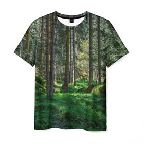Мужская футболка 3D с принтом Темный лес в Тюмени, 100% полиэфир | прямой крой, круглый вырез горловины, длина до линии бедер | бор | деревья | ель | ельник | заповедник | камни | красивый | лес | лето | мох | мрачный | прекрасный | природа | флора | чудесный