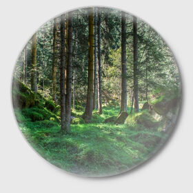 Значок с принтом Темный лес в Тюмени,  металл | круглая форма, металлическая застежка в виде булавки | бор | деревья | ель | ельник | заповедник | камни | красивый | лес | лето | мох | мрачный | прекрасный | природа | флора | чудесный