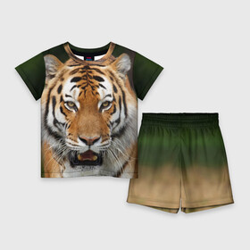Детский костюм с шортами 3D с принтом Тигр в Тюмени,  |  | Тематика изображения на принте: дикая кошка | клыки | кошка | пасть | сафари | тигр | хищник
