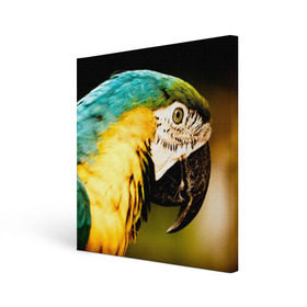 Холст квадратный с принтом Попугай в Тюмени, 100% ПВХ |  | двое | классный | клюв | красивый | крылья | попугай | попугайчик | птица | птичка | радужный