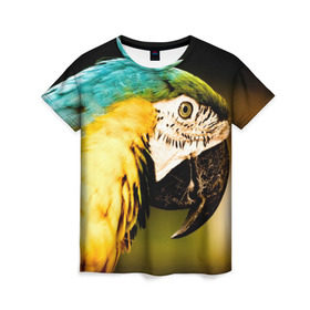 Женская футболка 3D с принтом Попугай в Тюмени, 100% полиэфир ( синтетическое хлопкоподобное полотно) | прямой крой, круглый вырез горловины, длина до линии бедер | двое | классный | клюв | красивый | крылья | попугай | попугайчик | птица | птичка | радужный