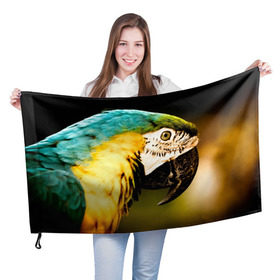 Флаг 3D с принтом Попугай в Тюмени, 100% полиэстер | плотность ткани — 95 г/м2, размер — 67 х 109 см. Принт наносится с одной стороны | двое | классный | клюв | красивый | крылья | попугай | попугайчик | птица | птичка | радужный