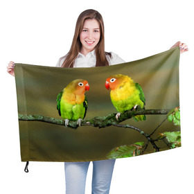Флаг 3D с принтом Попугаи в Тюмени, 100% полиэстер | плотность ткани — 95 г/м2, размер — 67 х 109 см. Принт наносится с одной стороны | двое | классный | клюв | красивый | крылья | попугай | попугайчик | птица | птичка | радужный