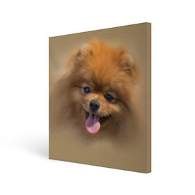 Холст квадратный с принтом Шпиц в Тюмени, 100% ПВХ |  | shpic | животные | мордочка | пёс | рыжий | собака | собачка | язык