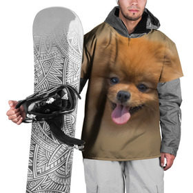 Накидка на куртку 3D с принтом Шпиц в Тюмени, 100% полиэстер |  | Тематика изображения на принте: shpic | животные | мордочка | пёс | рыжий | собака | собачка | язык