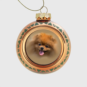 Стеклянный ёлочный шар с принтом Шпиц в Тюмени, Стекло | Диаметр: 80 мм | shpic | животные | мордочка | пёс | рыжий | собака | собачка | язык