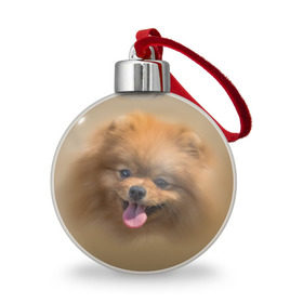 Ёлочный шар с принтом Шпиц в Тюмени, Пластик | Диаметр: 77 мм | shpic | животные | мордочка | пёс | рыжий | собака | собачка | язык