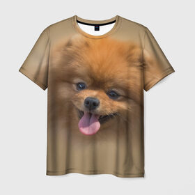 Мужская футболка 3D с принтом Шпиц в Тюмени, 100% полиэфир | прямой крой, круглый вырез горловины, длина до линии бедер | shpic | животные | мордочка | пёс | рыжий | собака | собачка | язык