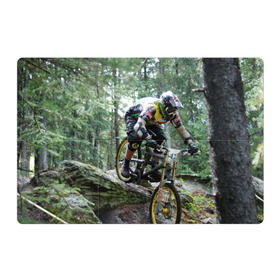 Магнитный плакат 3Х2 с принтом Велоспорт гонка в Тюмени, Полимерный материал с магнитным слоем | 6 деталей размером 9*9 см | Тематика изображения на принте: велик | велосипед | гонка | горы | деревья | железный конь | колесо | лес | лисапед | природа | ровер | спорт | спортсмен | стальной конь | тандем | трицикл | шлем