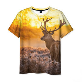 Мужская футболка 3D с принтом Олень в Тюмени, 100% полиэфир | прямой крой, круглый вырез горловины, длина до линии бедер | бор | дубрава | ельник | животное | закат | косуля | лес | лось | млекопитающее | олень | природа | расвет | рогач | рока | тайга | чащоба