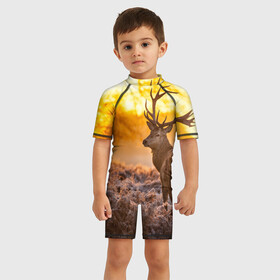 Детский купальный костюм 3D с принтом Олень в Тюмени, Полиэстер 85%, Спандекс 15% | застежка на молнии на спине | бор | дубрава | ельник | животное | закат | косуля | лес | лось | млекопитающее | олень | природа | расвет | рогач | рока | тайга | чащоба
