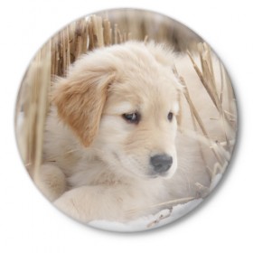 Значок с принтом Щеночек в Тюмени,  металл | круглая форма, металлическая застежка в виде булавки | dog | puppy | собака | щенок | щеночек