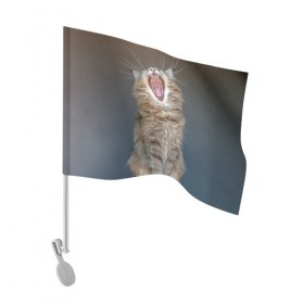 Флаг для автомобиля с принтом Мартовский кот в Тюмени, 100% полиэстер | Размер: 30*21 см | кот | кошка | март | пасть | усы