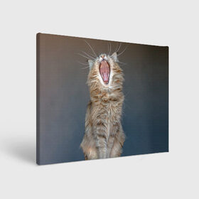 Холст прямоугольный с принтом Мартовский кот в Тюмени, 100% ПВХ |  | кот | кошка | март | пасть | усы