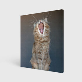 Холст квадратный с принтом Мартовский кот в Тюмени, 100% ПВХ |  | кот | кошка | март | пасть | усы