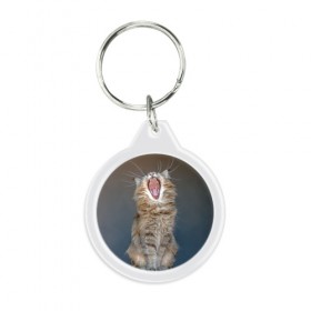 Брелок круглый с принтом Мартовский кот в Тюмени, пластик и полированная сталь | круглая форма, металлическое крепление в виде кольца | кот | кошка | март | пасть | усы