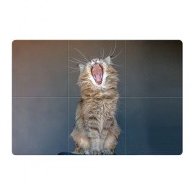 Магнитный плакат 3Х2 с принтом Мартовский кот в Тюмени, Полимерный материал с магнитным слоем | 6 деталей размером 9*9 см | кот | кошка | март | пасть | усы