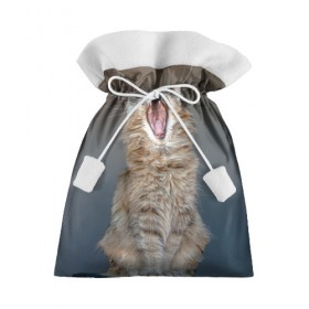 Подарочный 3D мешок с принтом Мартовский кот в Тюмени, 100% полиэстер | Размер: 29*39 см | кот | кошка | март | пасть | усы