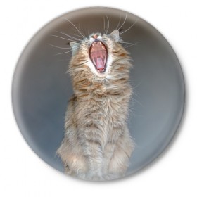 Значок с принтом Мартовский кот в Тюмени,  металл | круглая форма, металлическая застежка в виде булавки | кот | кошка | март | пасть | усы