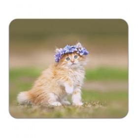 Коврик прямоугольный с принтом Веночек в Тюмени, натуральный каучук | размер 230 х 185 мм; запечатка лицевой стороны | василёк | венок | котёнок | кошка | цветок