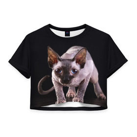 Женская футболка 3D укороченная с принтом сфинкс в Тюмени, 100% полиэстер | круглая горловина, длина футболки до линии талии, рукава с отворотами | cat | голубые глаза | кот | котик | котэ | кошка | сфинкс | черный