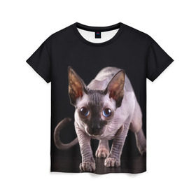 Женская футболка 3D с принтом сфинкс в Тюмени, 100% полиэфир ( синтетическое хлопкоподобное полотно) | прямой крой, круглый вырез горловины, длина до линии бедер | cat | голубые глаза | кот | котик | котэ | кошка | сфинкс | черный