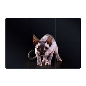 Магнитный плакат 3Х2 с принтом сфинкс в Тюмени, Полимерный материал с магнитным слоем | 6 деталей размером 9*9 см | Тематика изображения на принте: cat | голубые глаза | кот | котик | котэ | кошка | сфинкс | черный