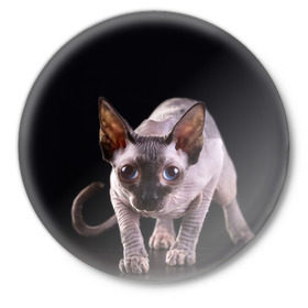 Значок с принтом сфинкс в Тюмени,  металл | круглая форма, металлическая застежка в виде булавки | cat | голубые глаза | кот | котик | котэ | кошка | сфинкс | черный