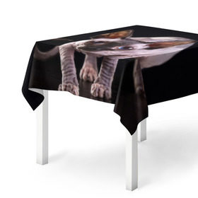 Скатерть 3D с принтом сфинкс в Тюмени, 100% полиэстер (ткань не мнется и не растягивается) | Размер: 150*150 см | cat | голубые глаза | кот | котик | котэ | кошка | сфинкс | черный