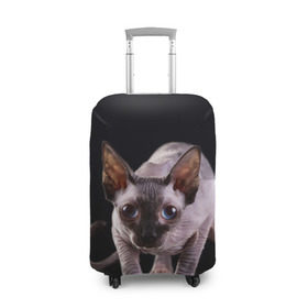 Чехол для чемодана 3D с принтом сфинкс в Тюмени, 86% полиэфир, 14% спандекс | двустороннее нанесение принта, прорези для ручек и колес | Тематика изображения на принте: cat | голубые глаза | кот | котик | котэ | кошка | сфинкс | черный
