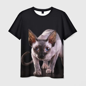 Мужская футболка 3D с принтом сфинкс в Тюмени, 100% полиэфир | прямой крой, круглый вырез горловины, длина до линии бедер | cat | голубые глаза | кот | котик | котэ | кошка | сфинкс | черный