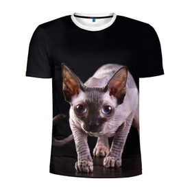 Мужская футболка 3D спортивная с принтом сфинкс в Тюмени, 100% полиэстер с улучшенными характеристиками | приталенный силуэт, круглая горловина, широкие плечи, сужается к линии бедра | cat | голубые глаза | кот | котик | котэ | кошка | сфинкс | черный