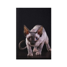 Обложка для паспорта матовая кожа с принтом сфинкс в Тюмени, натуральная матовая кожа | размер 19,3 х 13,7 см; прозрачные пластиковые крепления | cat | голубые глаза | кот | котик | котэ | кошка | сфинкс | черный