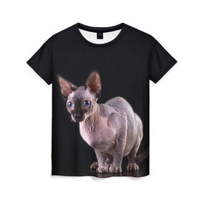 Женская футболка 3D с принтом сфинкс в Тюмени, 100% полиэфир ( синтетическое хлопкоподобное полотно) | прямой крой, круглый вырез горловины, длина до линии бедер | взгляд | голубые глаза | киска | кот | котенок | котик | котэ | серый | сфинкс | черный