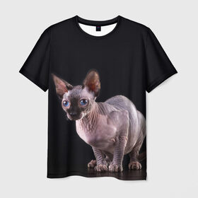 Мужская футболка 3D с принтом сфинкс в Тюмени, 100% полиэфир | прямой крой, круглый вырез горловины, длина до линии бедер | Тематика изображения на принте: взгляд | голубые глаза | киска | кот | котенок | котик | котэ | серый | сфинкс | черный