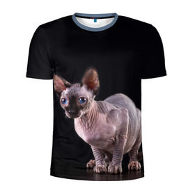 Мужская футболка 3D спортивная с принтом сфинкс в Тюмени, 100% полиэстер с улучшенными характеристиками | приталенный силуэт, круглая горловина, широкие плечи, сужается к линии бедра | Тематика изображения на принте: взгляд | голубые глаза | киска | кот | котенок | котик | котэ | серый | сфинкс | черный
