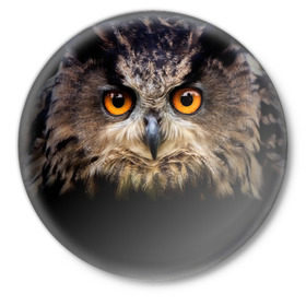 Значок с принтом Хищный взор в Тюмени,  металл | круглая форма, металлическая застежка в виде булавки | взгляд | глаза | клюв | пернатые | перья | птица | сова | филин | хищник