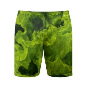 Мужские шорты 3D спортивные с принтом Зелень в Тюмени,  |  | веган | зеленый | зелень | лето | овощи | салат | солнце | фрукты