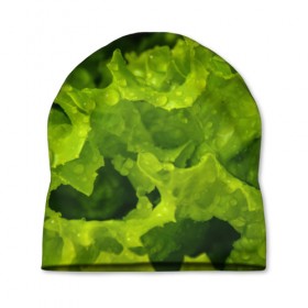 Шапка 3D с принтом Зелень в Тюмени, 100% полиэстер | универсальный размер, печать по всей поверхности изделия | веган | зеленый | зелень | лето | овощи | салат | солнце | фрукты