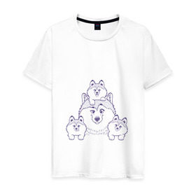 Мужская футболка хлопок с принтом Аляскинские маламуты в Тюмени, 100% хлопок | прямой крой, круглый вырез горловины, длина до линии бедер, слегка спущенное плечо. | Тематика изображения на принте: husky | malamute | арт | маламут | собака | хаски