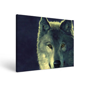 Холст прямоугольный с принтом Серый волк в Тюмени, 100% ПВХ |  | аука | бирюк | волк | волчара | волчица | волчок | глаза | животное | животные | зверь | зеленые | койот | млекопитающее | нос | санитар леса | серый | уши | фауна | фон | хищник | черный | шакал | шерсть