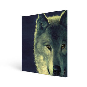 Холст квадратный с принтом Серый волк в Тюмени, 100% ПВХ |  | аука | бирюк | волк | волчара | волчица | волчок | глаза | животное | животные | зверь | зеленые | койот | млекопитающее | нос | санитар леса | серый | уши | фауна | фон | хищник | черный | шакал | шерсть