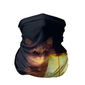 Бандана-труба 3D с принтом Истории в Тюмени, 100% полиэстер, ткань с особыми свойствами — Activecool | плотность 150‒180 г/м2; хорошо тянется, но сохраняет форму | Тематика изображения на принте: cat | kitty | животные | киса | кот | котенок | котэ | кошка