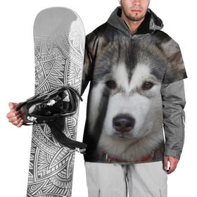 Накидка на куртку 3D с принтом Хаски в Тюмени, 100% полиэстер |  | Тематика изображения на принте: волк | маламут | собака | хаски | щенок
