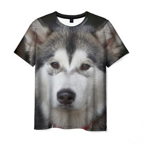 Мужская футболка 3D с принтом Хаски в Тюмени, 100% полиэфир | прямой крой, круглый вырез горловины, длина до линии бедер | волк | маламут | собака | хаски | щенок
