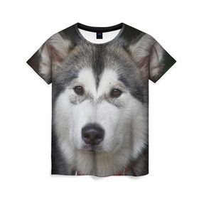 Женская футболка 3D с принтом Хаски в Тюмени, 100% полиэфир ( синтетическое хлопкоподобное полотно) | прямой крой, круглый вырез горловины, длина до линии бедер | волк | маламут | собака | хаски | щенок